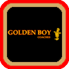 Golden Boy Coaches website